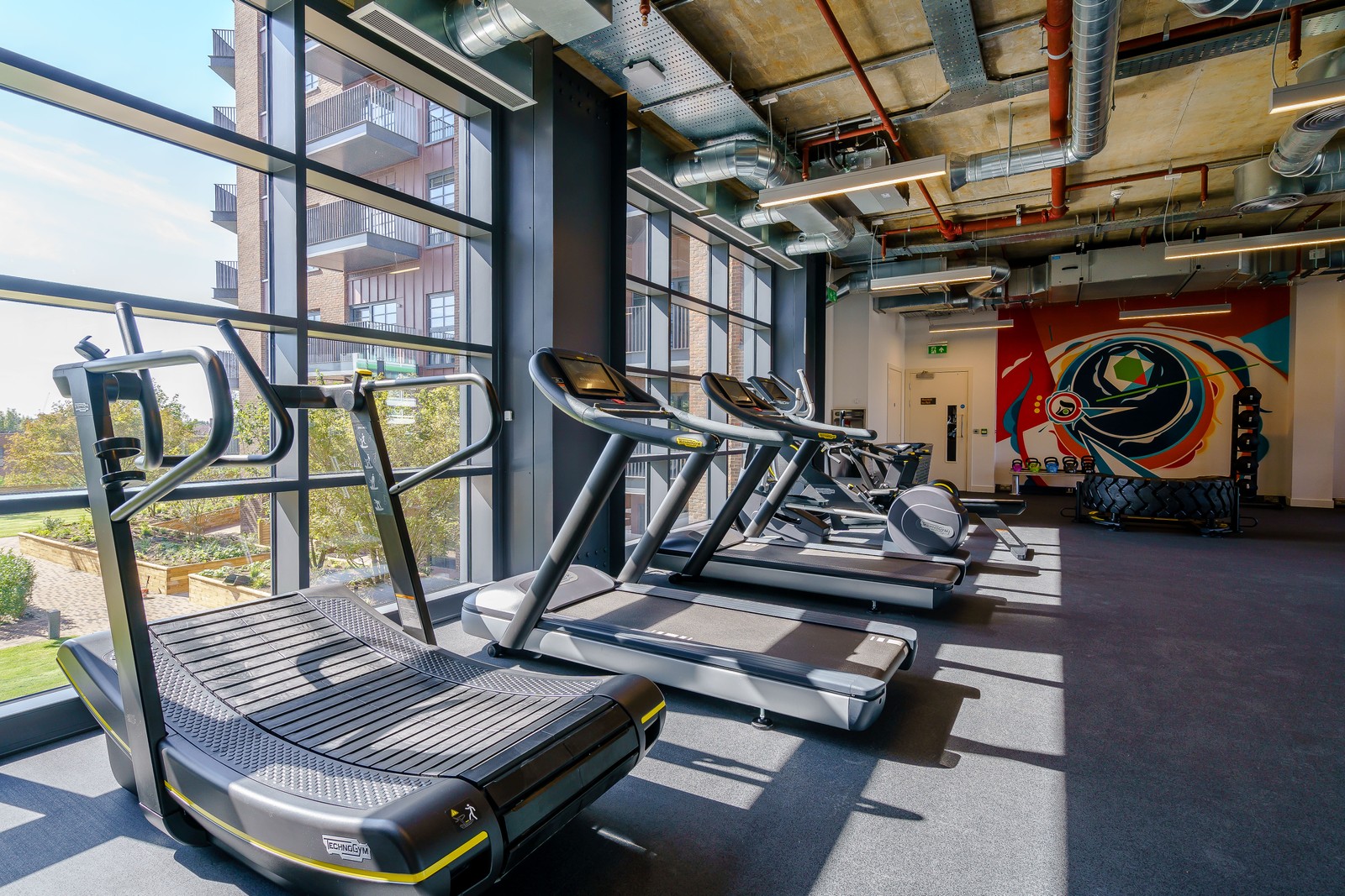 treadmills in the gym